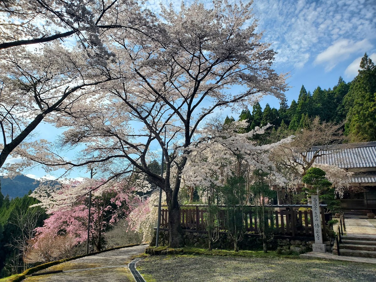 悟真寺（奈良県・宇陀市）