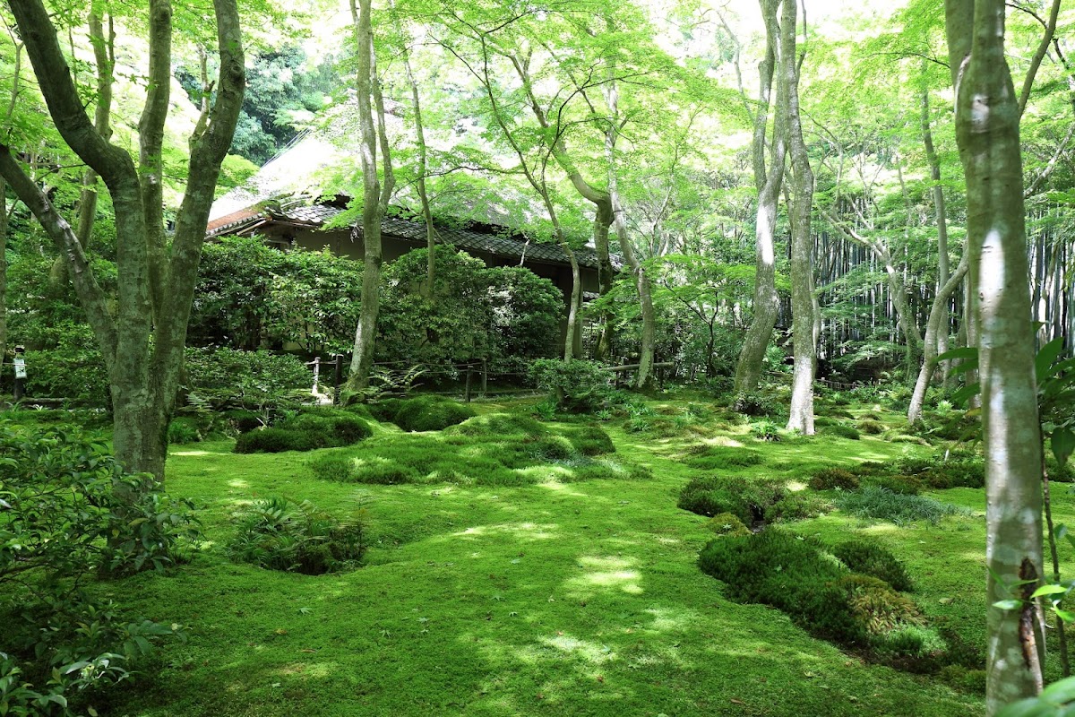 祇王寺（京都府）