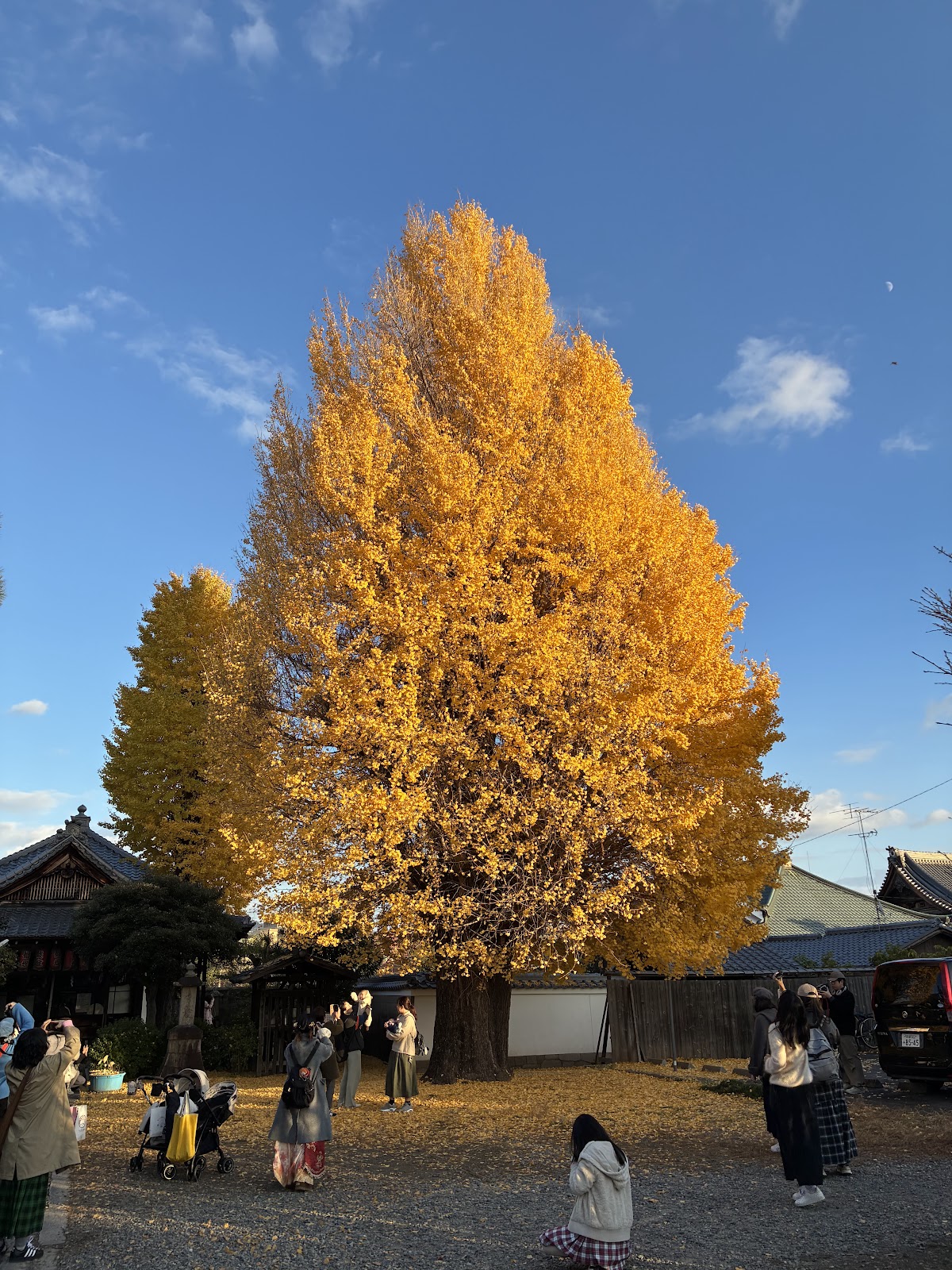 慧光寺（京都府）