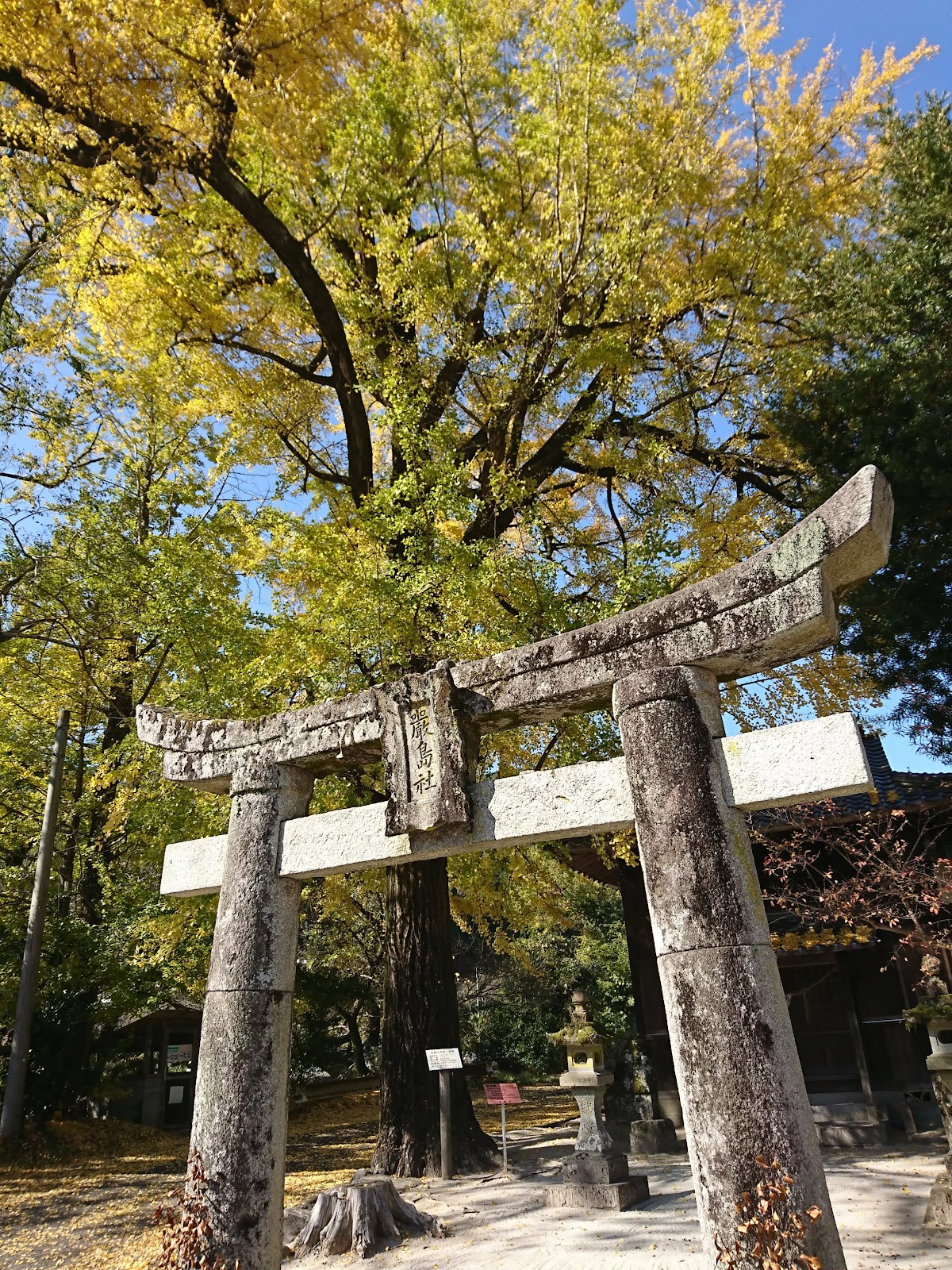 厳島神社（佐賀県佐賀市富士町梅野）
