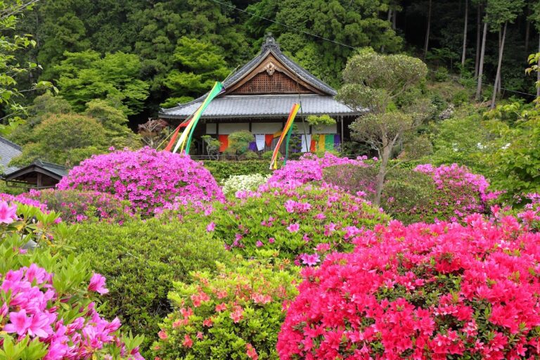船宿寺（奈良県御所市）
