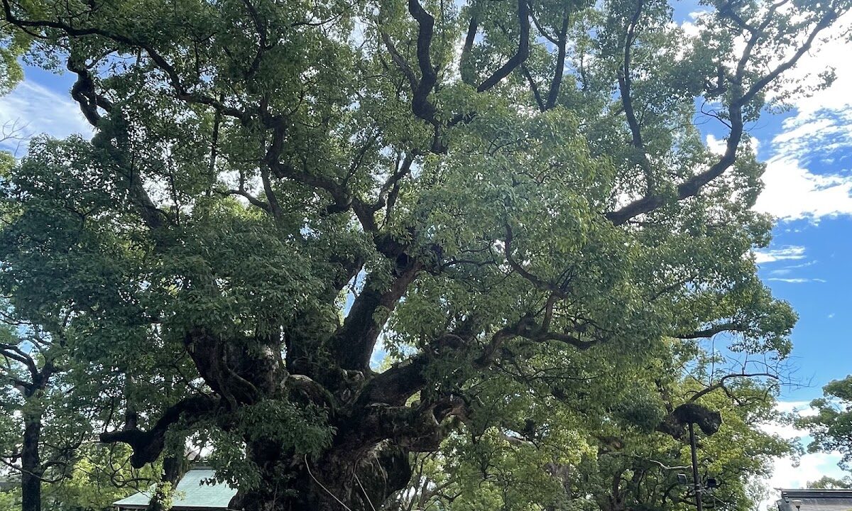 海八幡宫