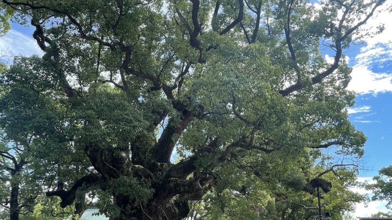 宇美八幡宮