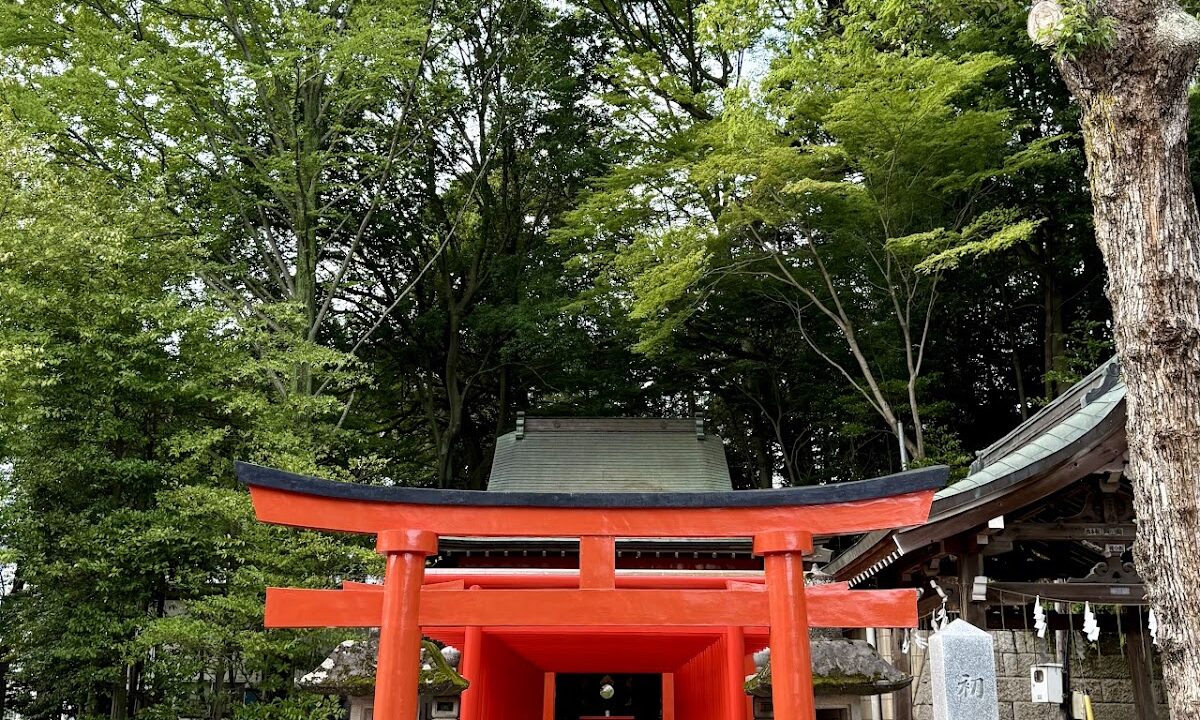 Complete Guide to Utsunomiya Futara