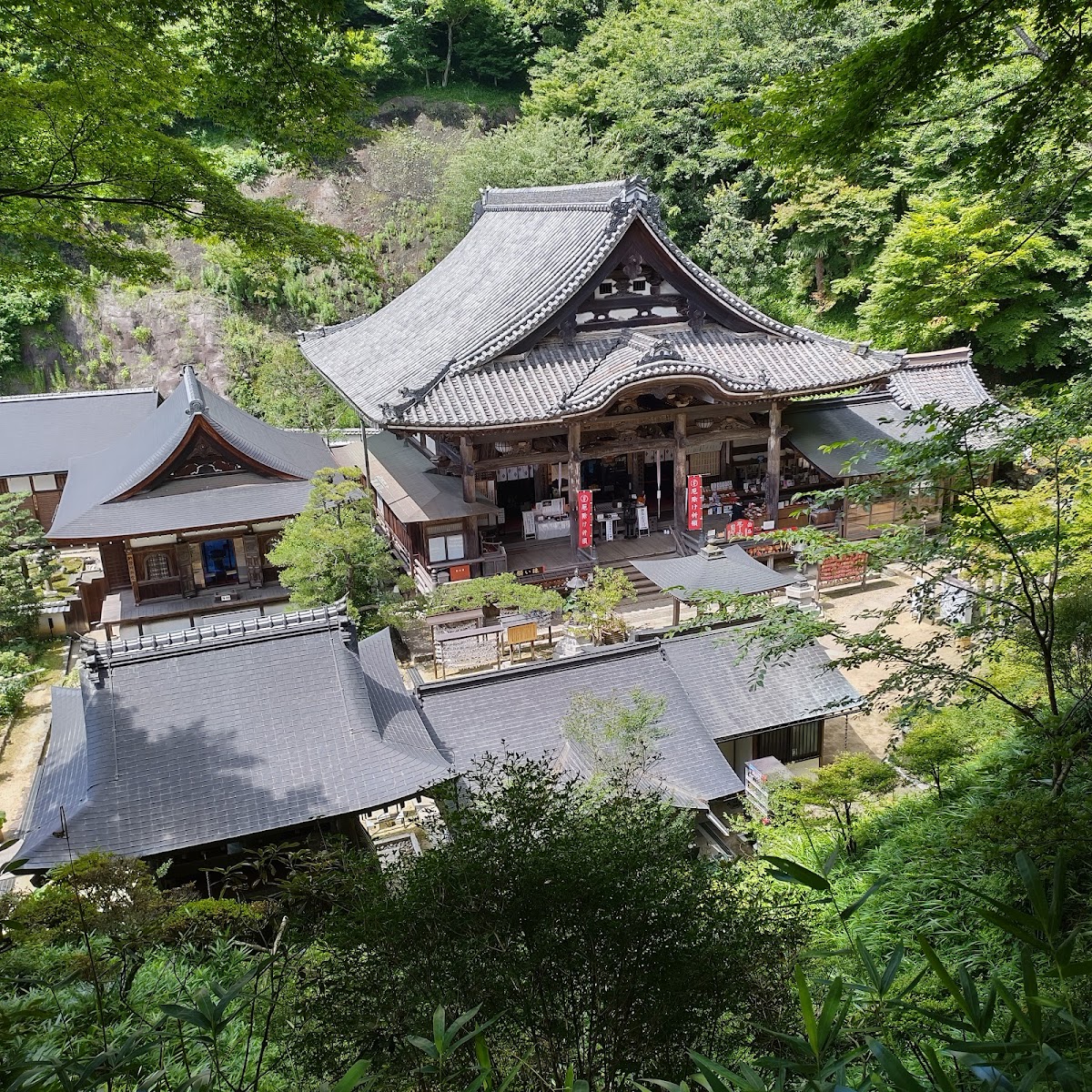 岡寺(龍蓋寺)