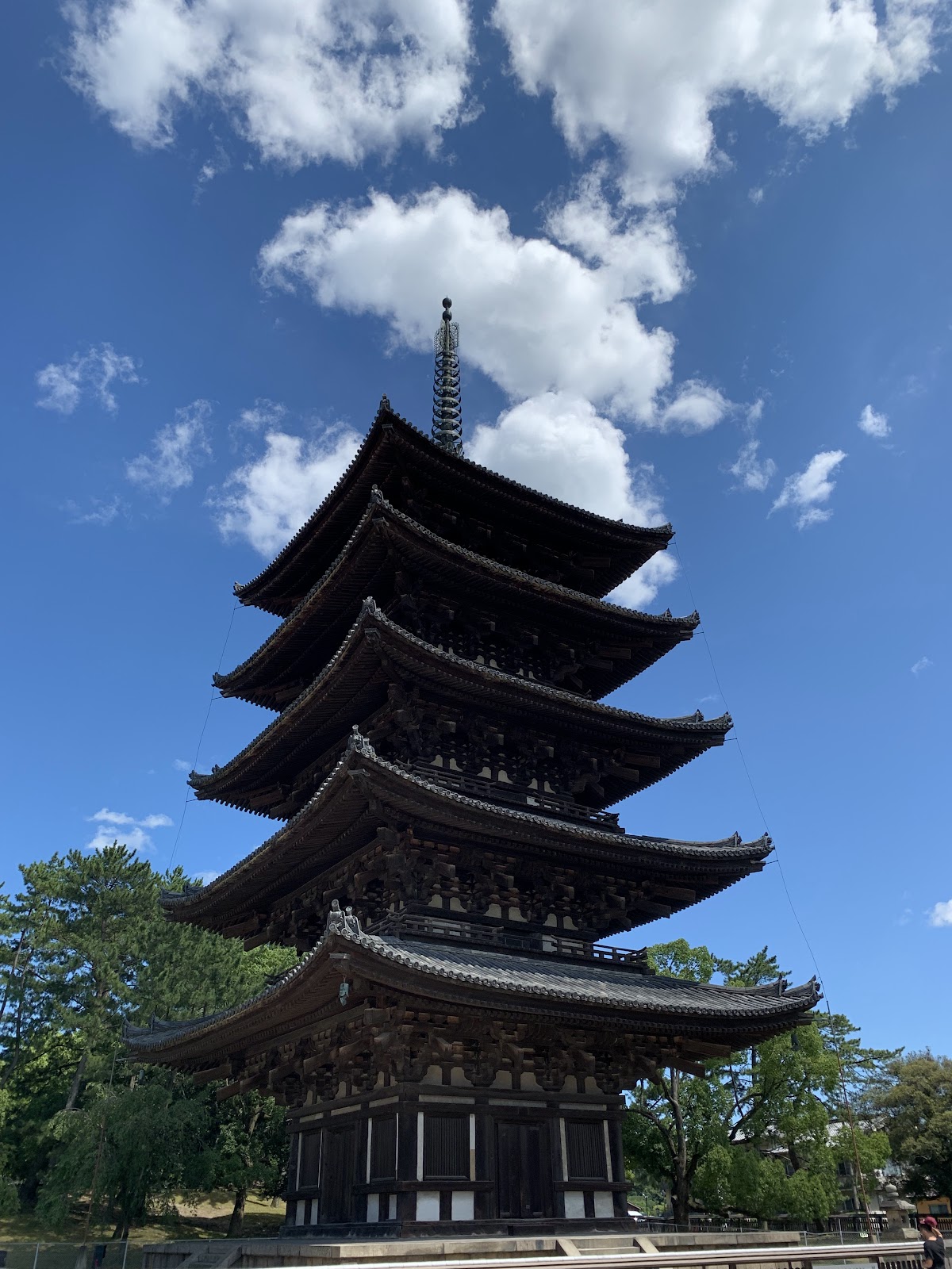 興福寺東金堂
