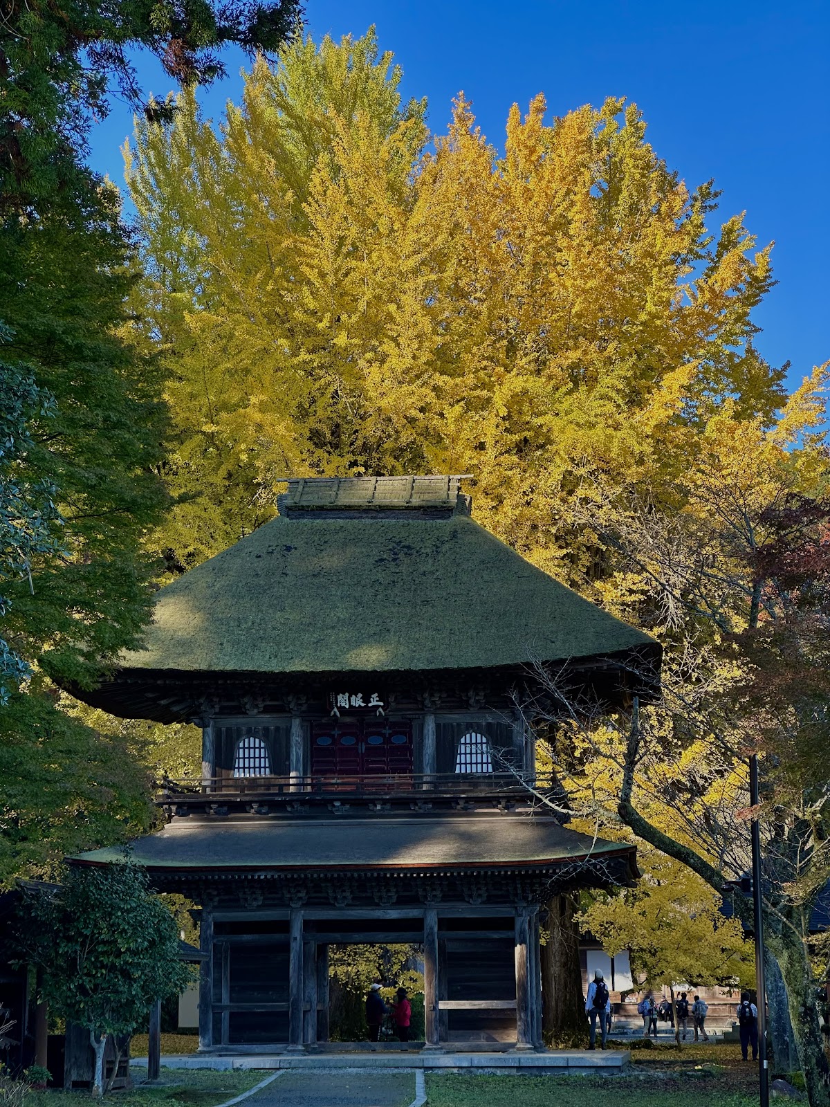 広徳寺