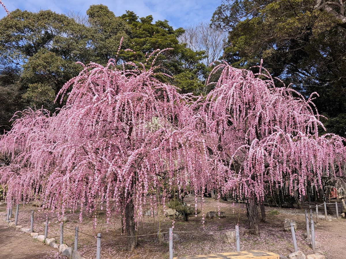 結城神社