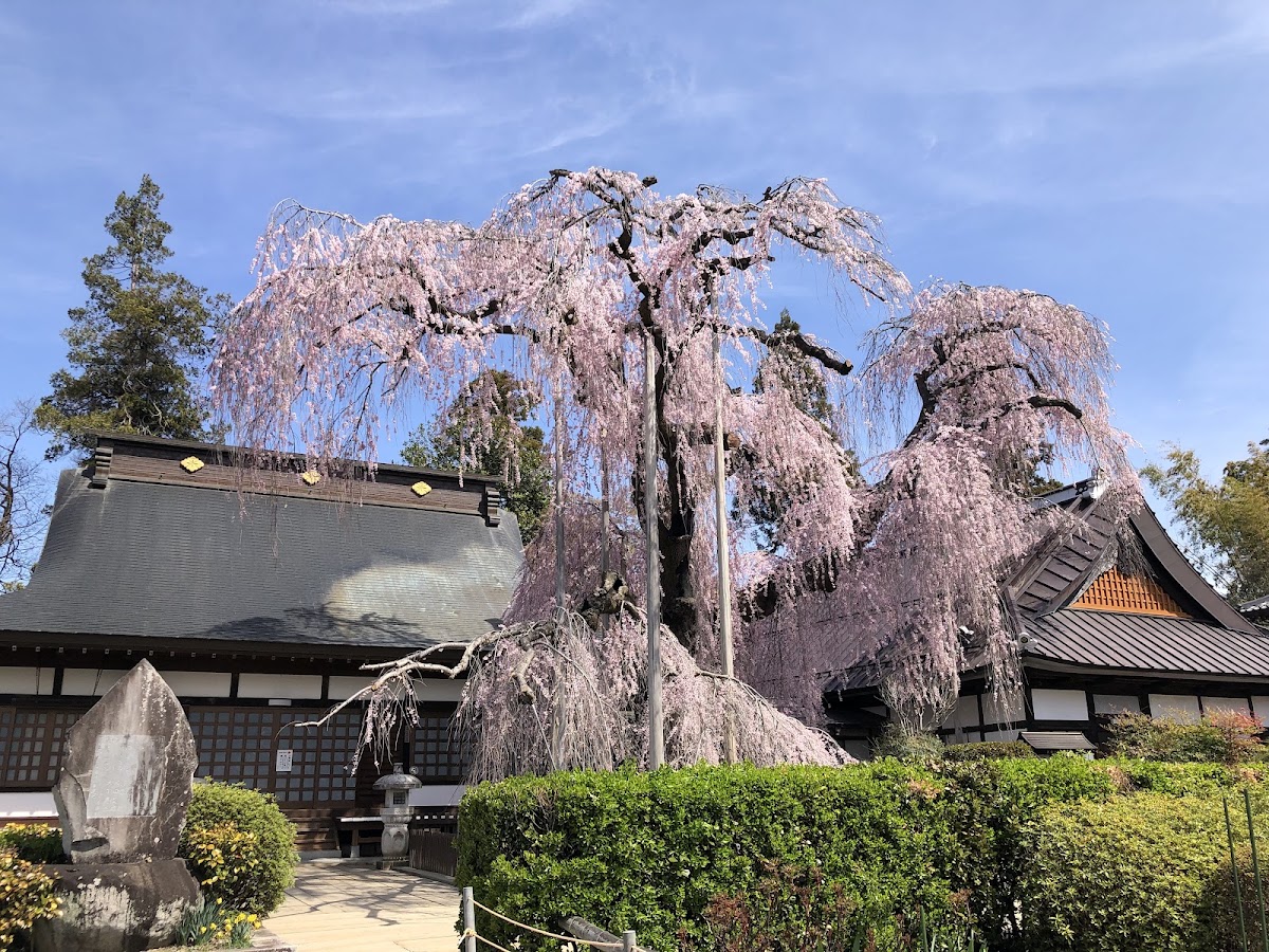 慈雲寺