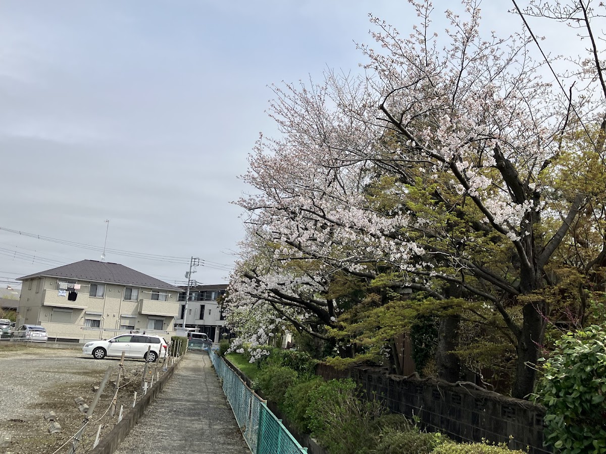 浄光寺