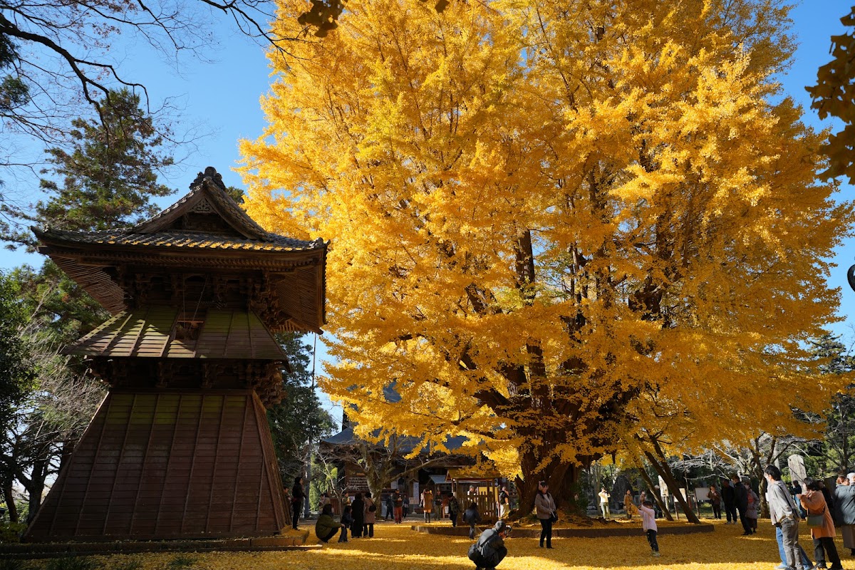 西蓮寺