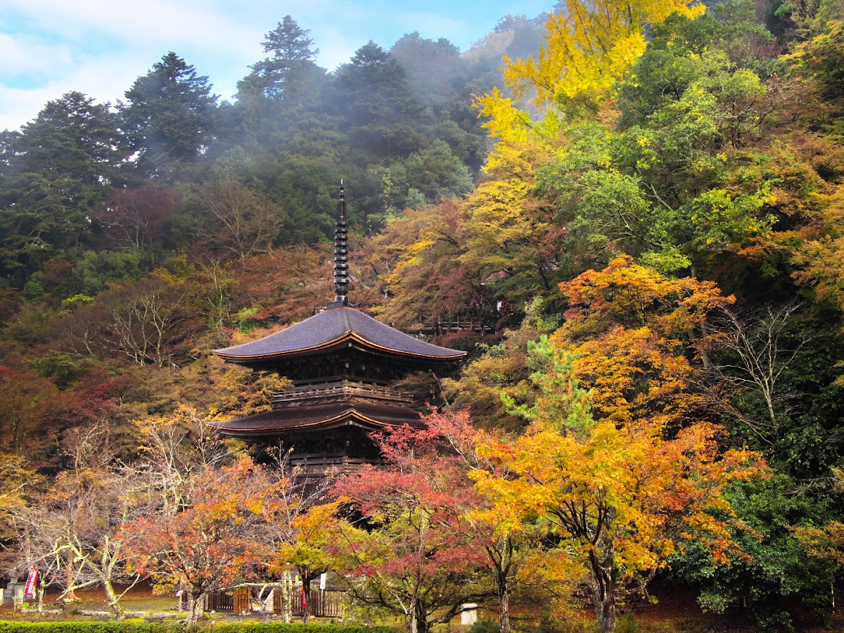 金剛院