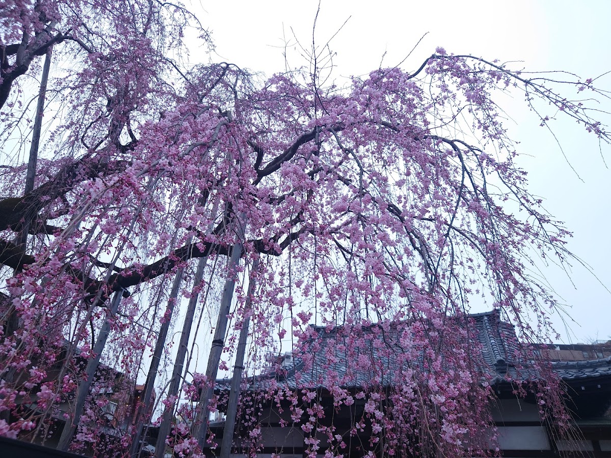 大楽寺