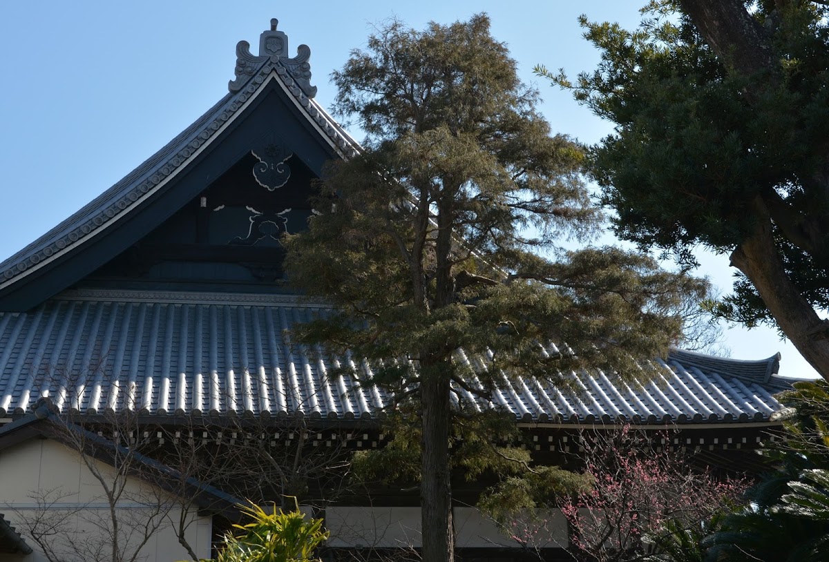 大澤寺