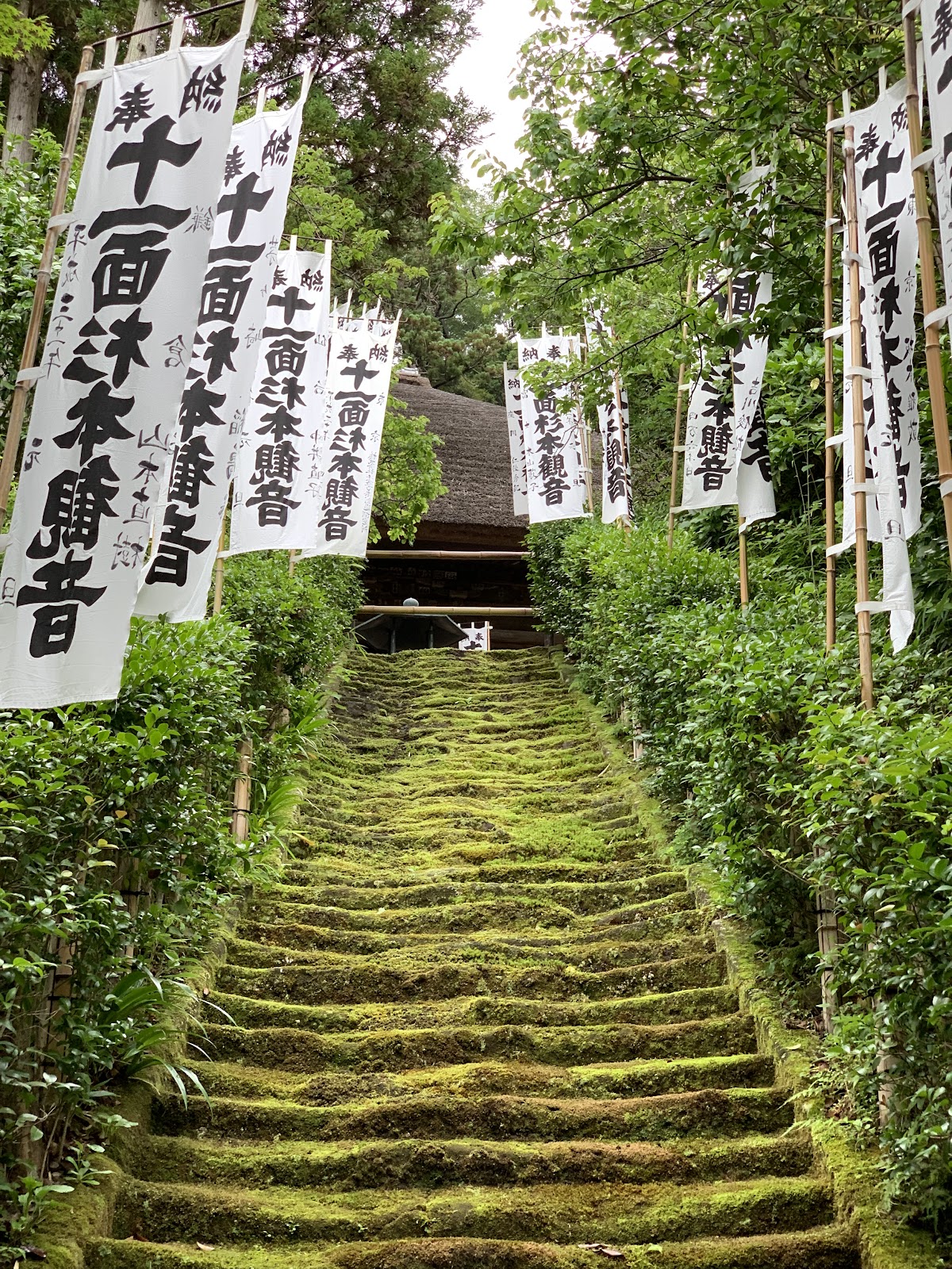 杉本寺