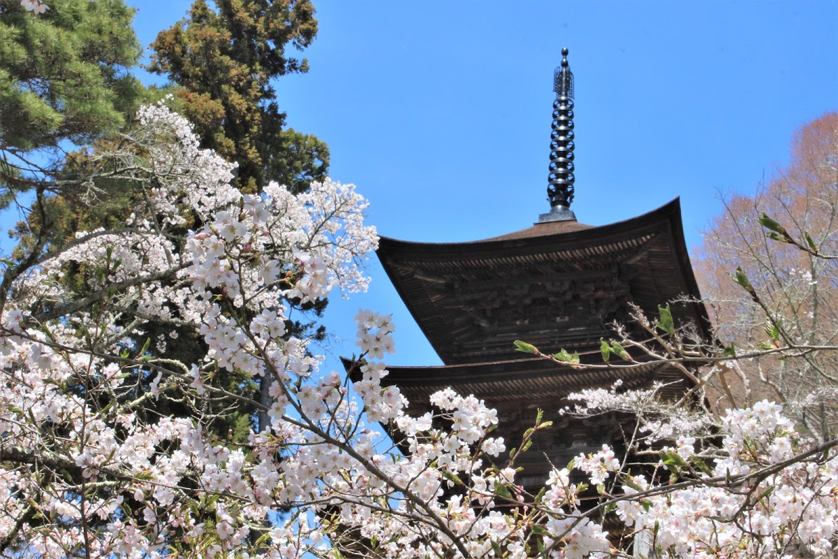 大法寺