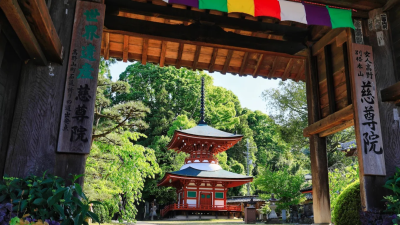 慈尊院