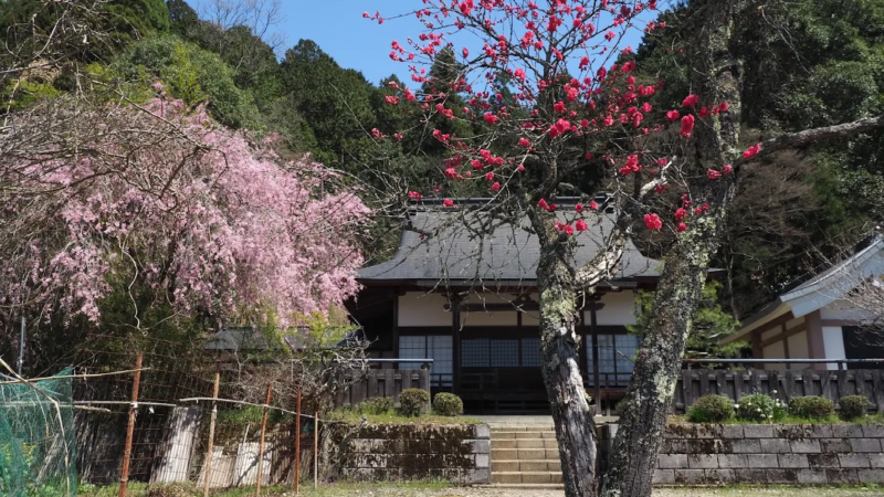 真言宗御室派中道寺(京都府右京区京北)