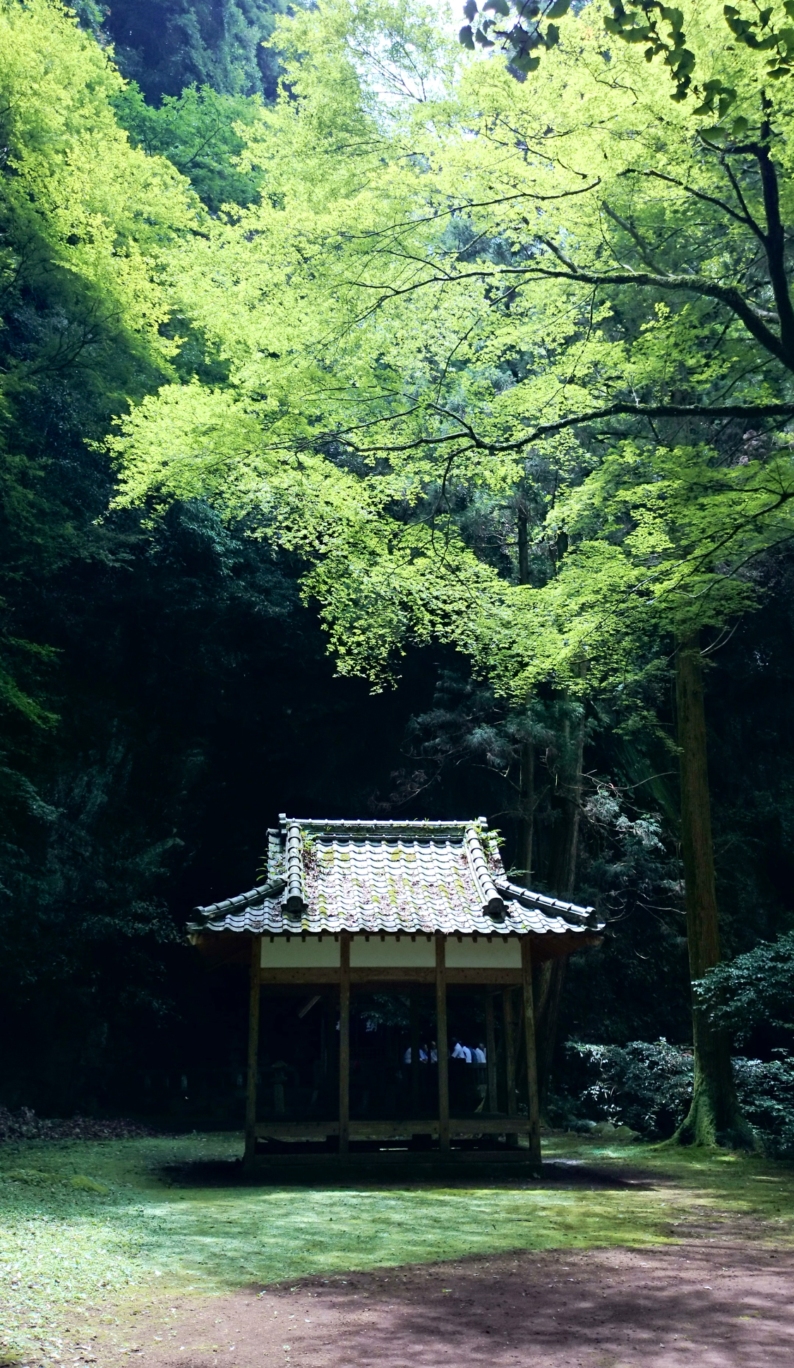 伊都岐島神社（長崎県長崎市）