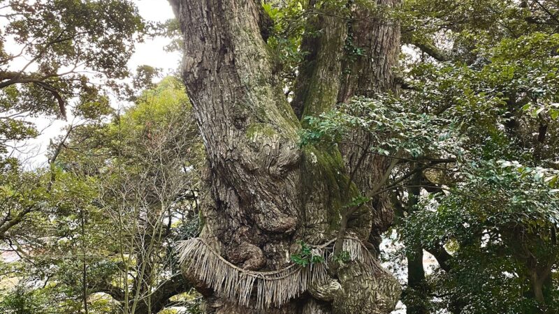 松崎神社（鳥取県・東伯郡湯梨浜町）