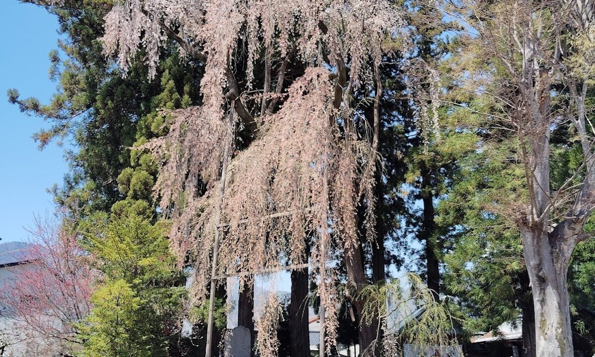 諏訪神社（長野県飯田市鼎一色）
