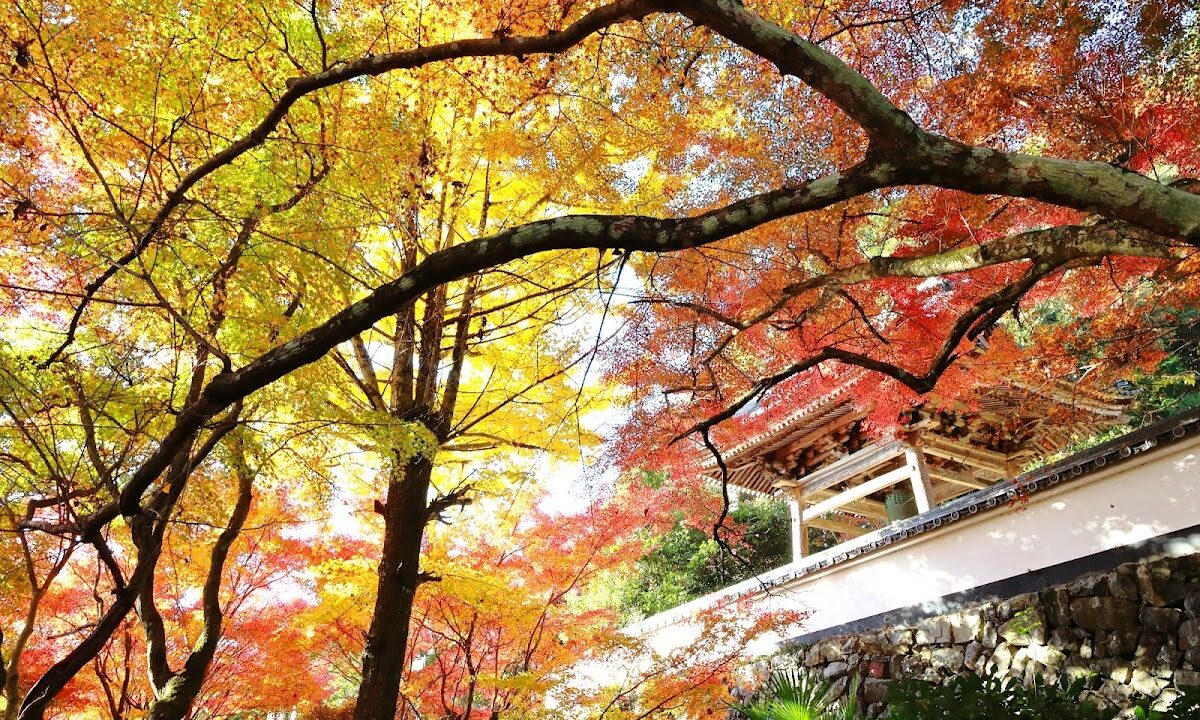 Enkoji Temple (Ogaki City, Gifu Prefecture)