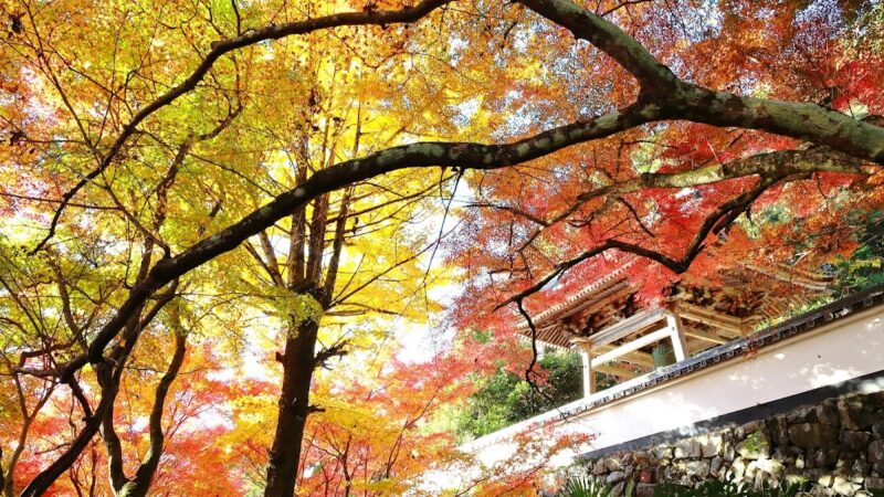 円興寺（岐阜県大垣市）