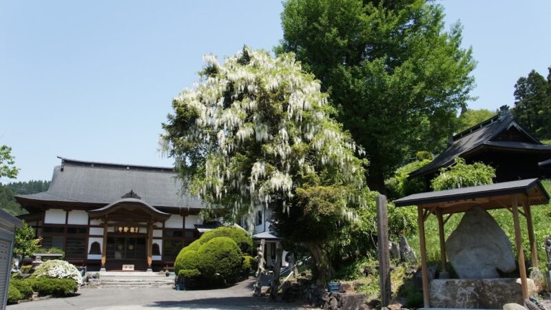 藤勢寺（岩手県）