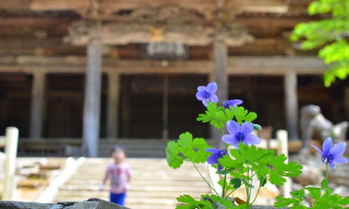 Kuroishi-dera Temple (Iwate Prefecture)