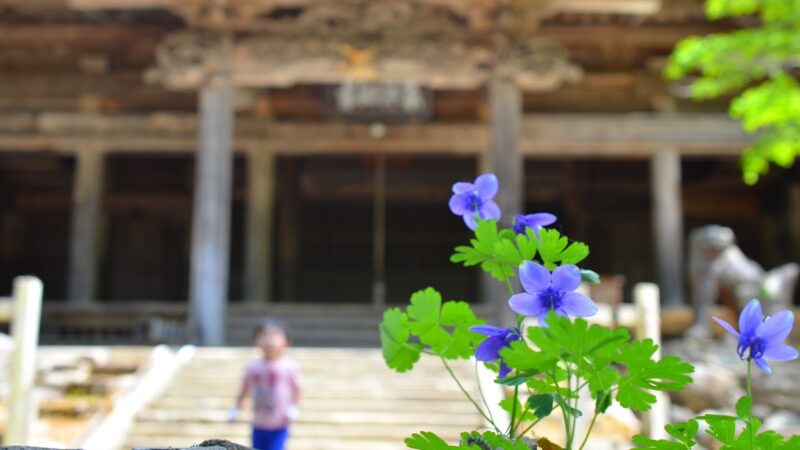 黒石寺（岩手県）