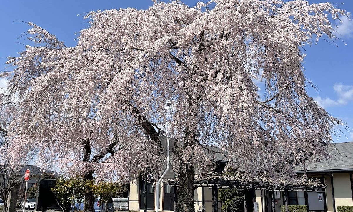 柳生寺（宮城県仙台市太白区）