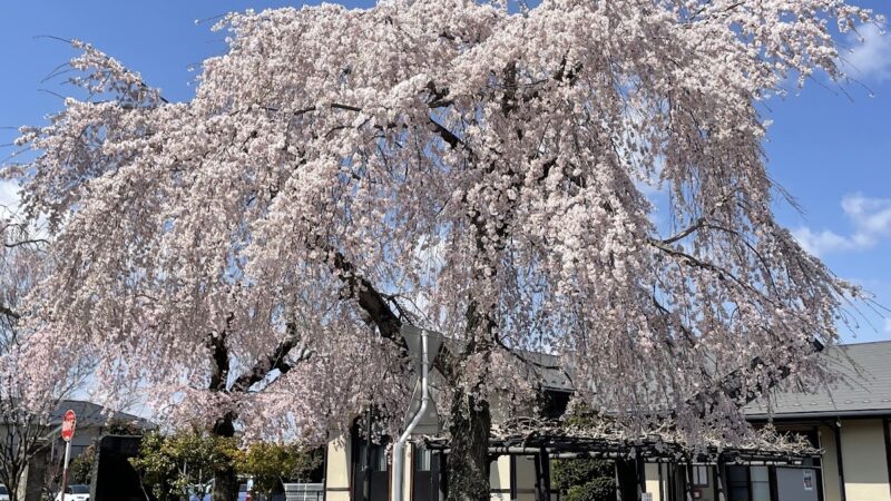 柳生寺（宮城県仙台市太白区）