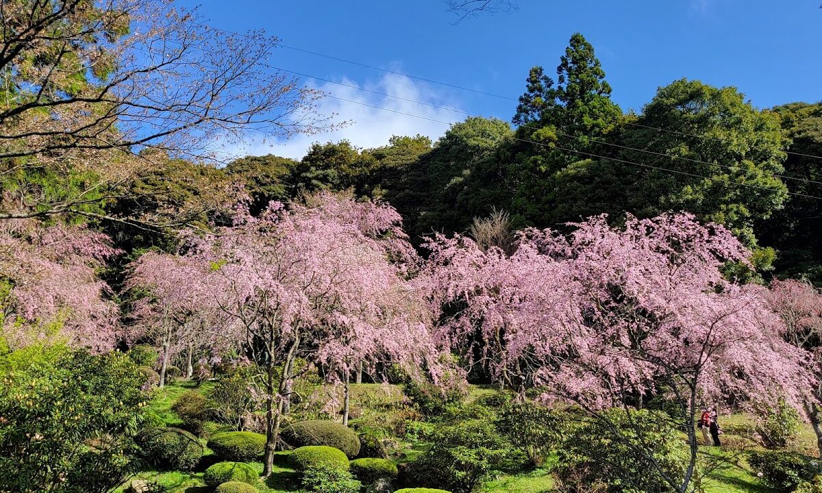 南原寺（山口県美祢市）