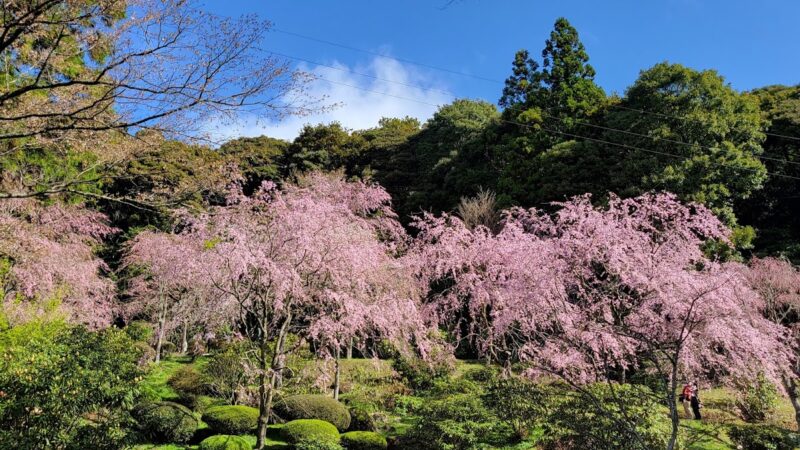 南原寺（山口県美祢市）