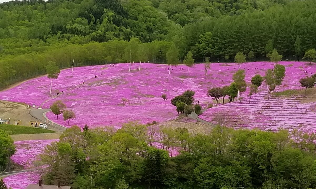 泷上神社（北海道）
