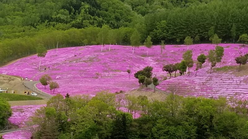 滝上神社（北海道）