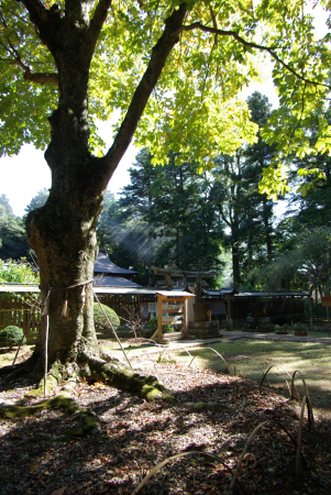 小御門神社（千葉県成田市）