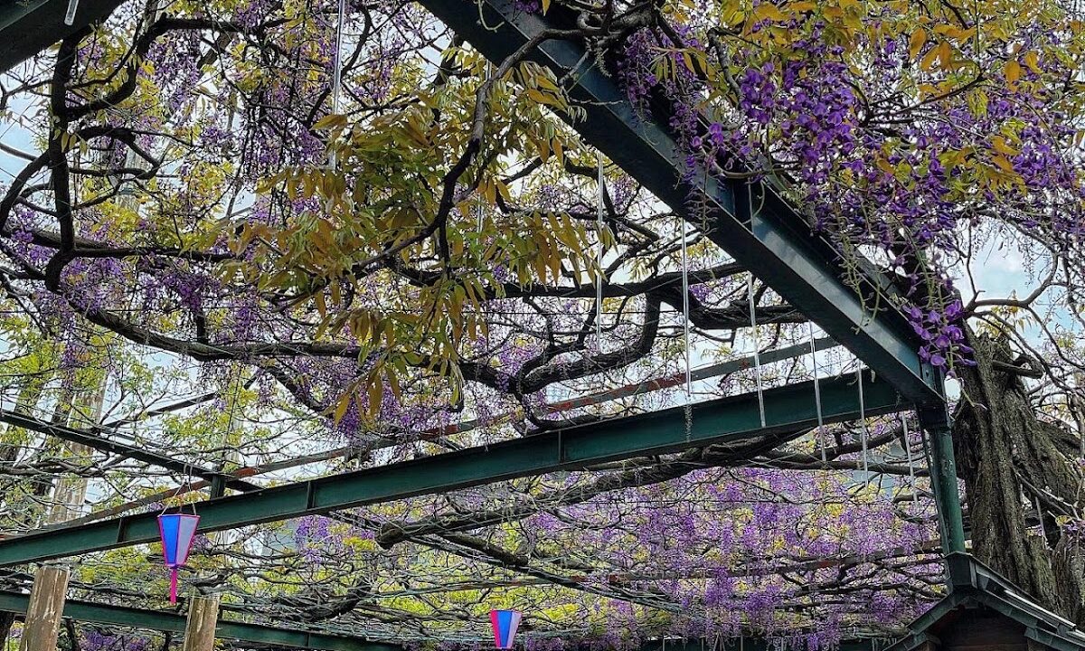 国陵神社（东京都调布市）