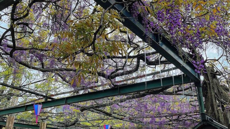 國領神社（東京都調布市）