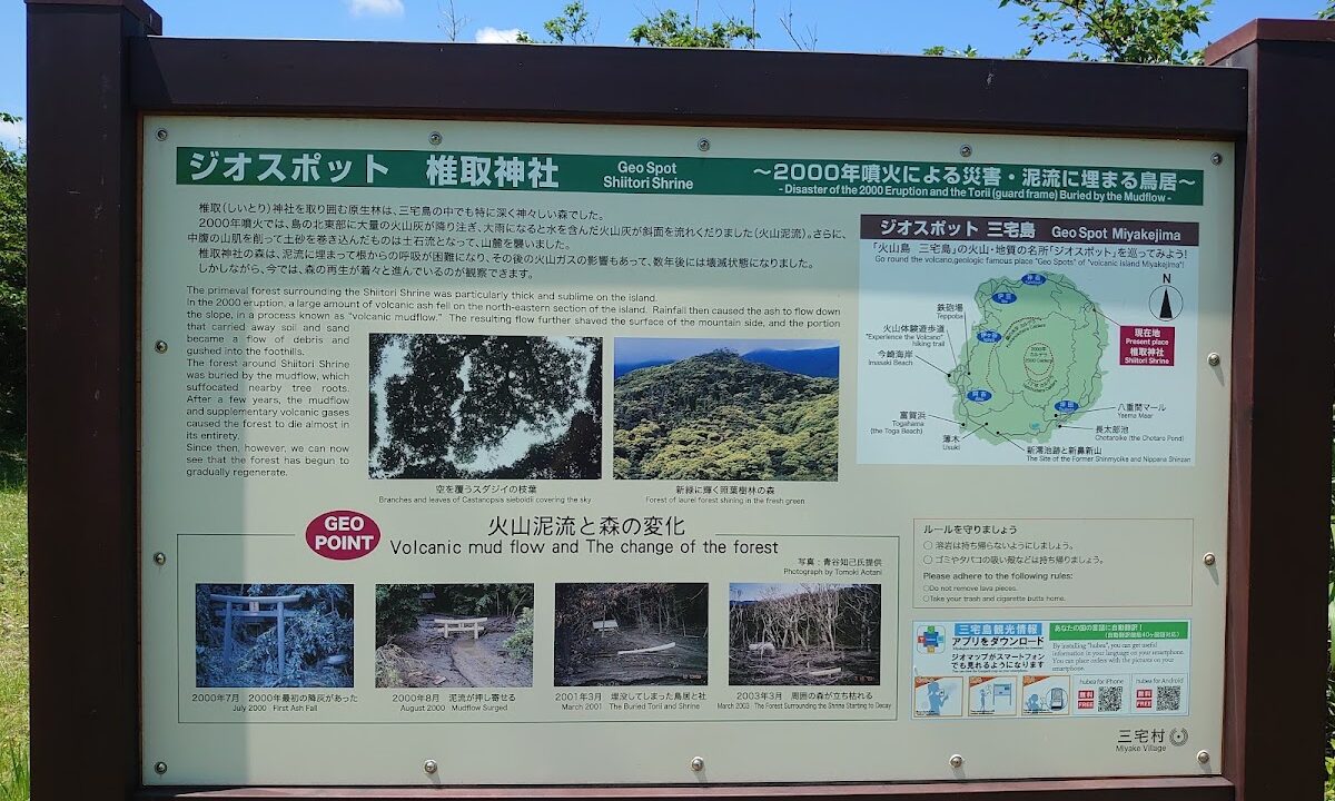 椎取神社(東京都三宅島)