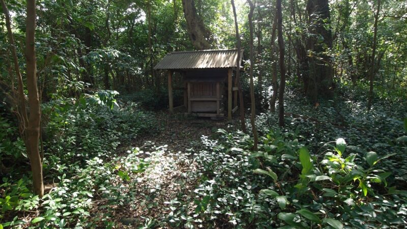 南子神社（東京都三宅島）