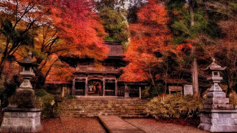 大矢田神社（岐阜県美濃市）