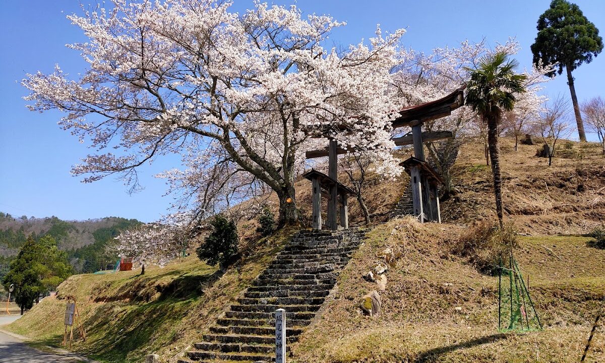 사카오로 신사(교토부)