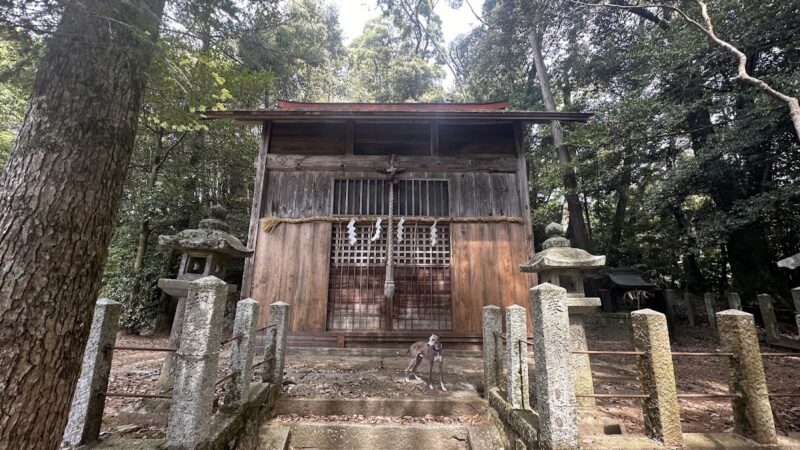 野宮神社（京都府）