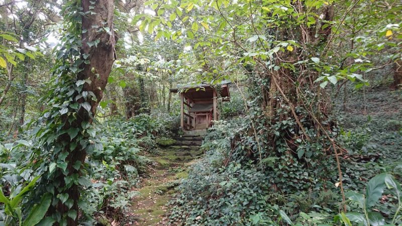 神澤神社（三宅村伊豆 神座山）